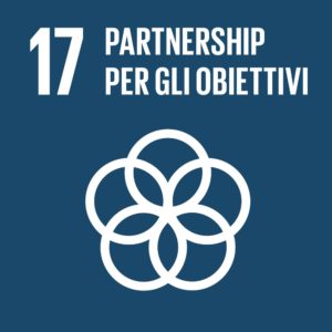 Obiettivo 17 - Partnership per gli obbiettivi